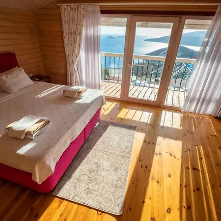 Eco Acelya